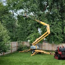Best Leaf Removal  in Fresno, CA