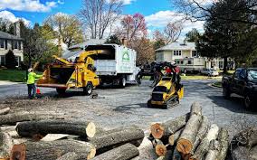 Best Tree Trimming and Pruning  in Fresno, CA