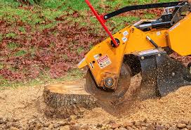 Best Storm Damage Tree Cleanup  in Fresno, CA