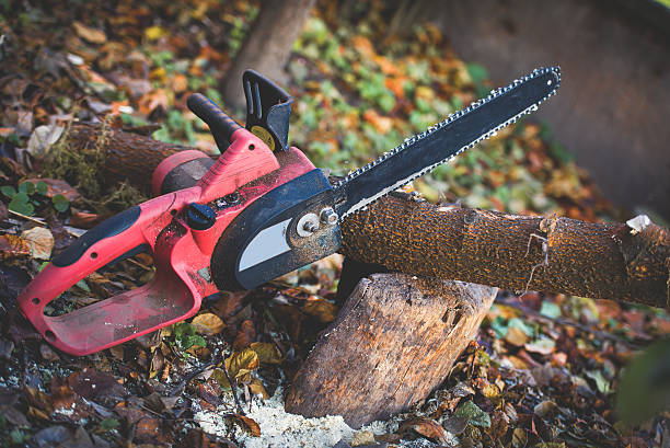 Best Pest Control for Lawns  in Fresno, CA